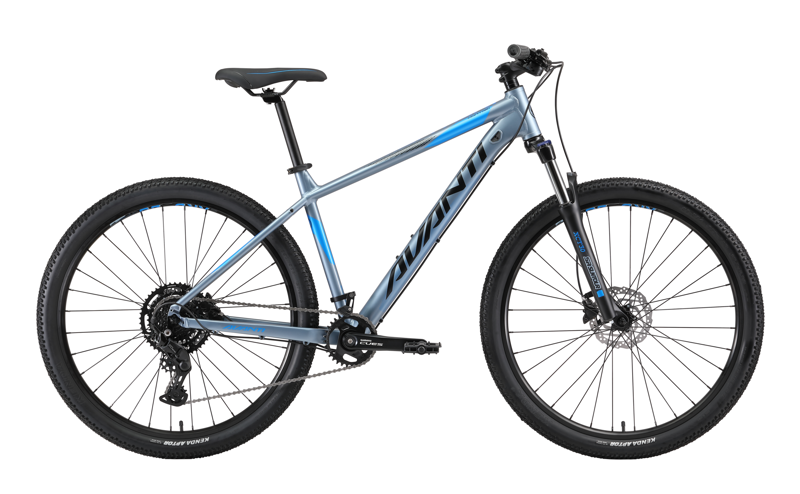 Avanti Montari 2 In Silver Blue