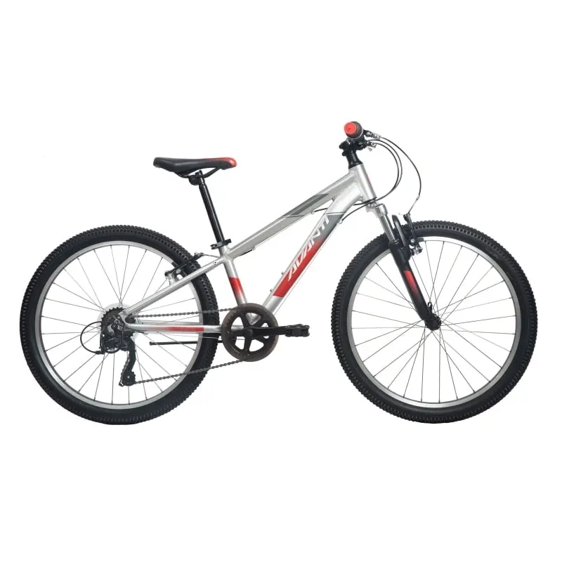 Avanti Shadow 24 Kids Bike in Polished