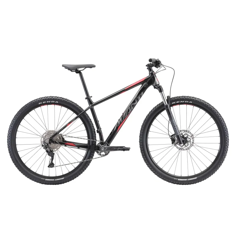 Avanti Competitor 1 In Black